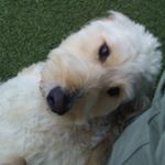 Profile Picture of Jerry Barrett (@jerrybarrett54) on Instagram