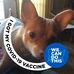 Profile Picture of Dorothy Painter (@dorothy.painter.522) on Facebook
