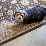 Profile Picture of David (@davidglenn235) on Instagram