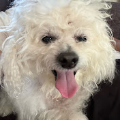 Profile Picture of KSok (@KhanthaSok) on Youtube