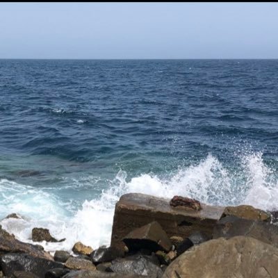 Profile Picture of Mohsen Omar (@MohsenOmar4) on Twitter