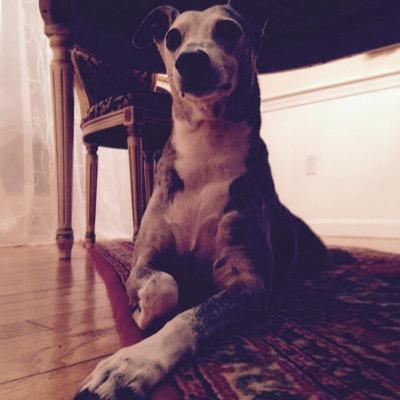 Profile Picture of Jim Gotham (@jim_gotham) on Twitter