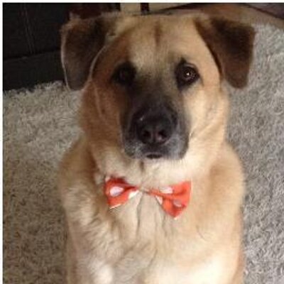 Justin Knudson - Twitter Profile Picture of Justin Knudson (@Jknudson12) on Twitter