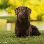 Profile Picture of Rudy Sue Orr (@vc_rudy) on Instagram