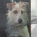 Profile Picture of Basil Kennedy (@bazilbug678) on Instagram