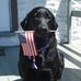 Profile Picture of David Brehm (@david.brehm.9406) on Facebook