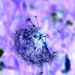 Profile Picture of Jennifer Kelsall (@jenniferkelsall) on Pinterest