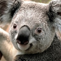 Profile Picture of Kai Boyd (@kai-boyd-5) on Quora