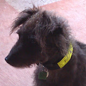 Troy Clements - Youtube Profile Picture of Troy Clements (@troyclements4546) on Youtube