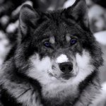 Profile Picture of Sam Monroy (@instsam04) on Instagram