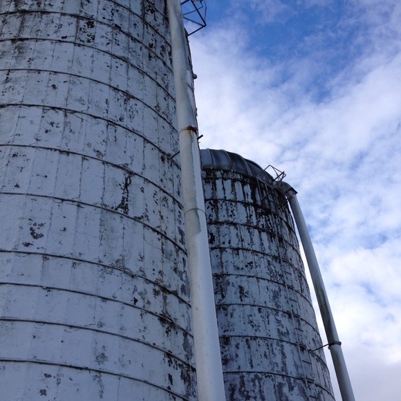 Profile Picture of Gina Grether (@gina000) on Poshmark