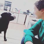 Profile Picture of Lisa Waldron (@waldrolisa) on Instagram
