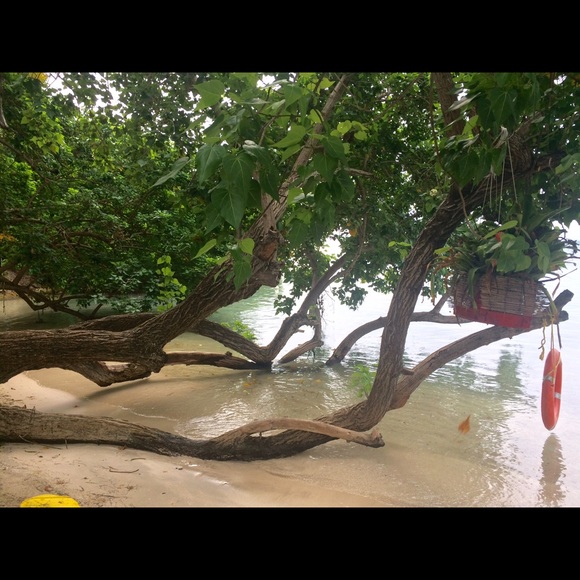 Profile Picture of Hue Nguyen (@daubung) on Poshmark