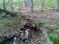 Profile Picture of Krebsbach (Selke) - Wikipedia, the free encyclopediaon Wikipedia