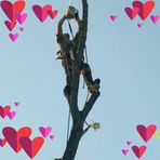 Profile Picture of Eugene Dodge (@eugene.dodge.1) on Facebook