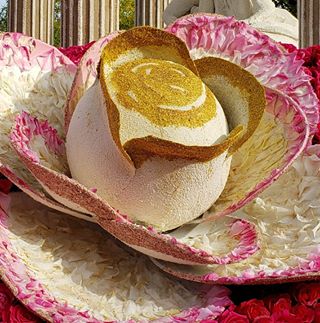 Profile Picture of Barbara Limbocker (@barbara.limbocker) on Facebook