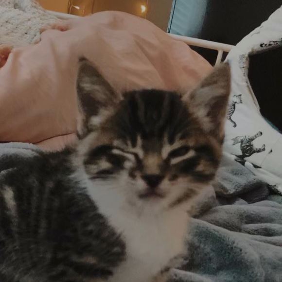 Profile Picture of Lunaaa Dunajski (@lunaaaa_duna) on Poshmark