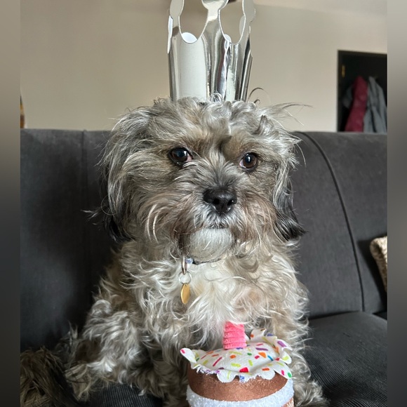 Profile Picture of Diane Cloherty (@diane_cloherty) on Poshmark