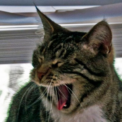 Profile Picture of Kevin Barthelemy (@GhodDhammit) on Twitter