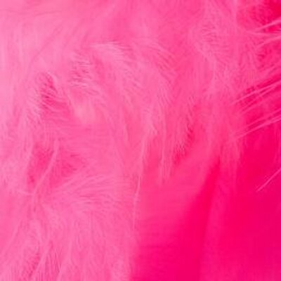 Profile Picture of Alice Roque (@AliceRoque1) on Twitter