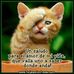 Profile Picture of Gudalupe Platas (@gudalupe.platas) on Facebook