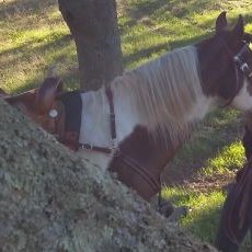 Profile Picture of Audrey Draper (@audrey_draper) on Twitter