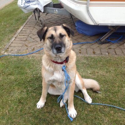 Kevin Raven - Twitter Profile Picture of Kevin Raven (@kevinraven72) on Twitter