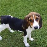 Profile Picture of Scott Eggerth (@scotteggerth) on Instagram