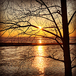 Profile Picture of Lisa Harrison Bauer (@lisaharrisonbauer) on Flickr