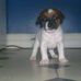 Profile Picture of Rick C Sisson (@rick.c.sisson) on Facebook