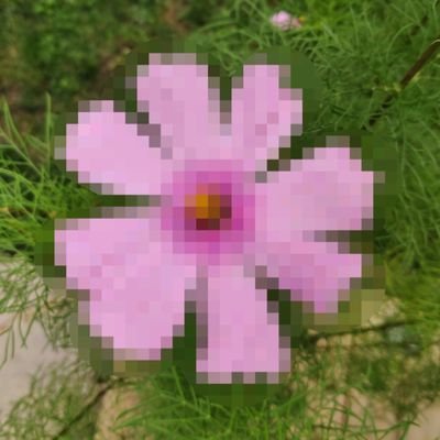 Profile Picture of Josh Dutra (@JoshDutra2) on Twitter