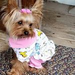 Profile Picture of Robin kunkel (@kunkel4538) on Instagram