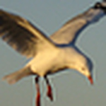 Profile Picture of Brant James (@brant246) on Flickr