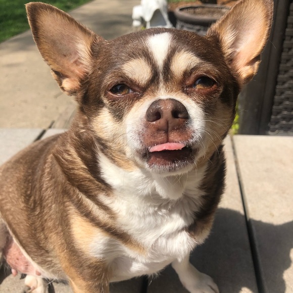 Profile Picture of Kylie Zawisza (@kz2101) on Poshmark