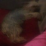 Profile Picture of Julia Capobianco (@capobiancojulia) on Instagram