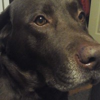 Profile Picture of Melody Gibbs (@melody-gibbs-4) on Quora