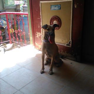 Profile Picture of Lawrance Alm (@lawrance.alm) on Facebook