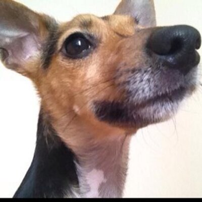 Profile Picture of David McCrum (@weederz87) on Twitter