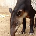 Profile Picture of Gelbert Leonardo Carballo (@gelbertleonardo.carballo) on Facebook