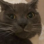 Profile Picture of sav.__.ella (@sav.__.ella) on Instagram