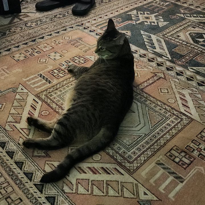 Profile Picture of Connie Wright (@@conniewright06) on Tiktok