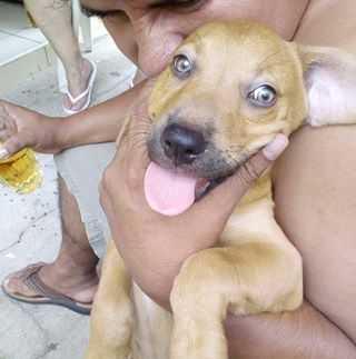 Carlos Mortera - Facebook Profile Picture of Carlos Mortera (@carlos.mortera.104) on Facebook