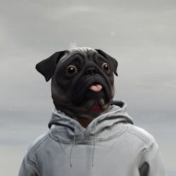 Profile Picture of Scruggs (@tolarain5) on Tiktok