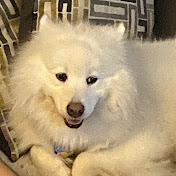 Profile Picture of Jeremy Wei (@aznwei6) on Youtube