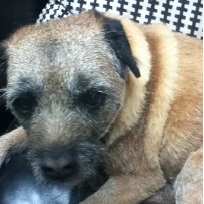 Profile Picture of Gabriel Doherty (@gab_doherty) on Twitter