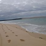 Profile Picture of Paul Agius (@paul_talence) on Instagram