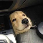 Profile Picture of Choi' Nanya (@choi_nanya) on Instagram