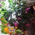 Profile Picture of Marsha Potter (@marsha.potter.94) on Facebook