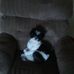 Profile Picture of Barry Kohler (@barry.kohler.90) on Facebook