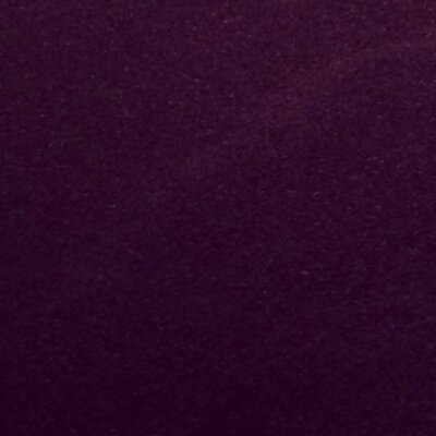 Profile Picture of Eric Ames (@@EricAmesFilms) on Twitter